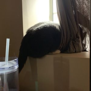 Meet your Posher, Alberto